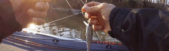 Tying a Palomar Knot