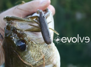 Six Strategies for More Cold-Water Bass