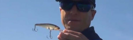 Pointer 78DD and Brent Ehrler